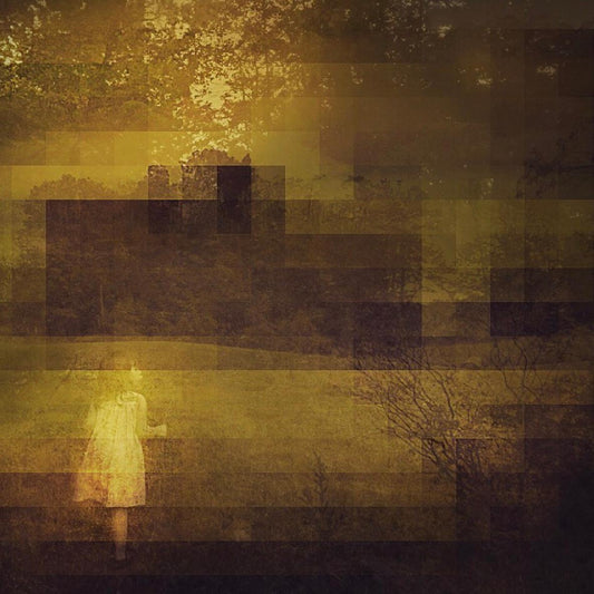 Rosemary Scott - Image Transfer