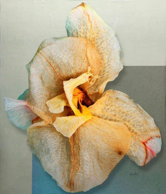 Acrylic Skins on Plexiglass - Marion Grant