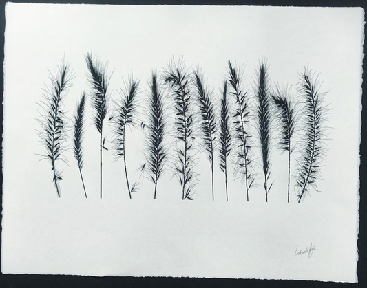 12 Lamp Shiners Grasses, with Clear Gloss Type II