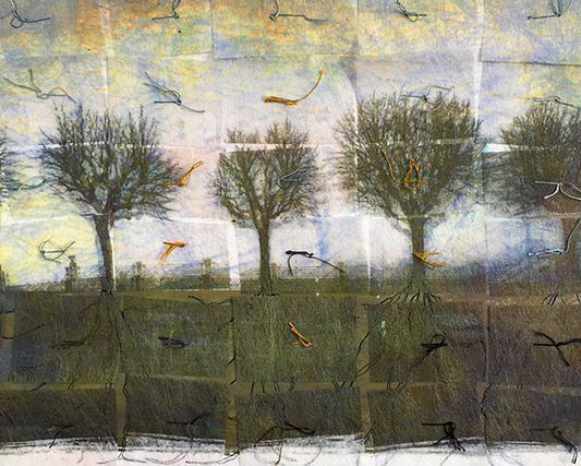 Wen Redmond - Digital Fiber Collage
