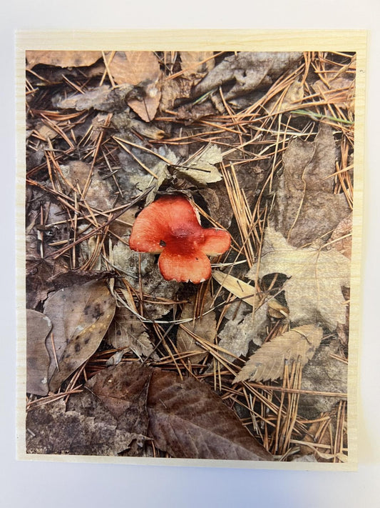Print On inkAID Aspen Veneer