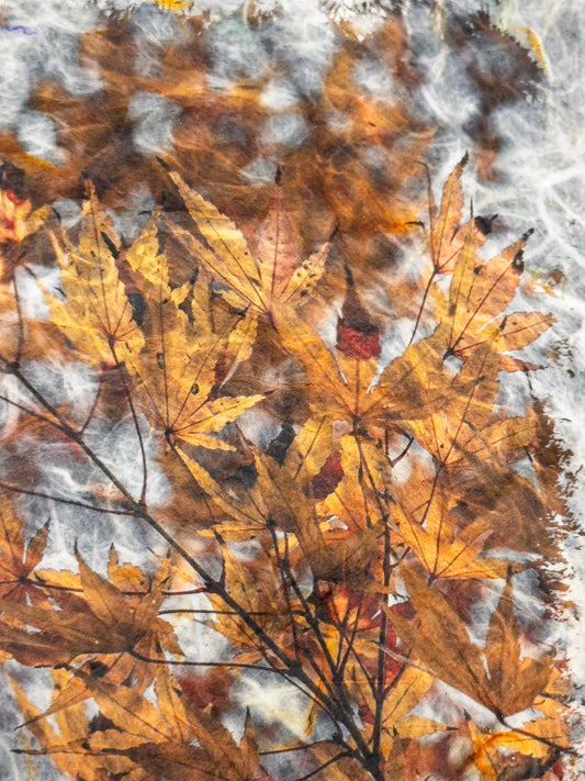 Mixed Media Inkjet Print On Custom Made Inkjet Paper