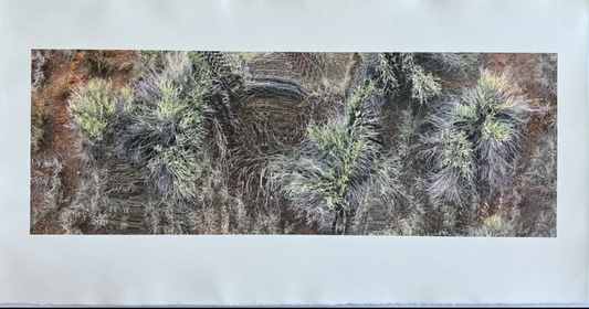 Bethany Jaconson - "Keep Moving" 2021. Direct Print