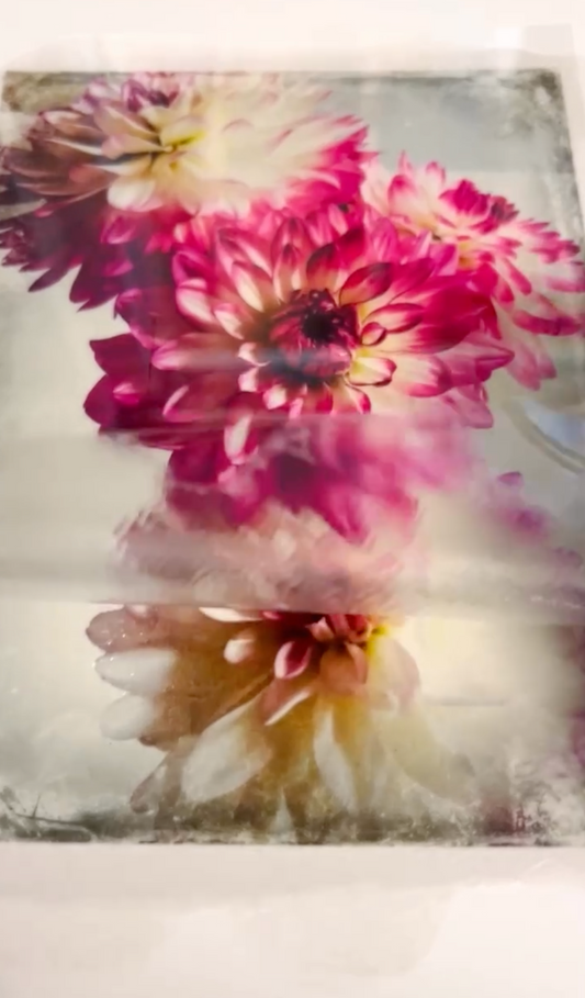Create Stunning Art: An Easy Image Transfer Tutorial for Mixed-Media Backgrounds