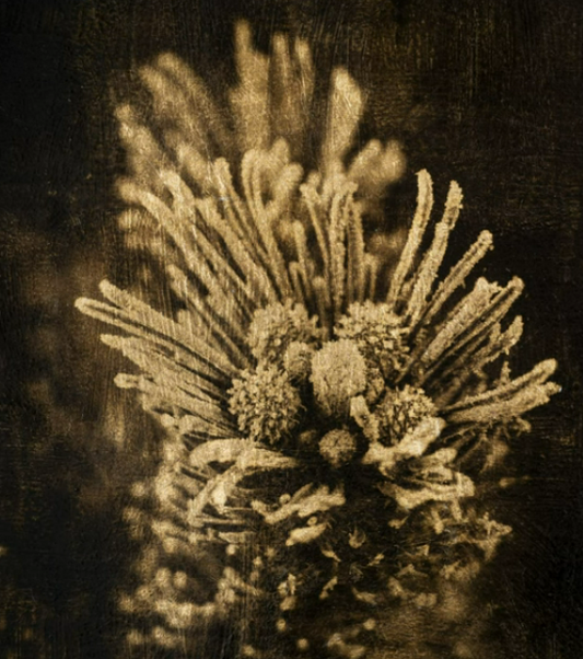 Direct print on Hand Gilded 90# Watercolor Paper